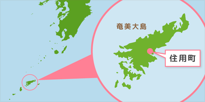 鹿児島・奄美大島全域マップ